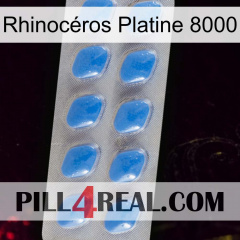 Rhinocéros Platine 8000 22